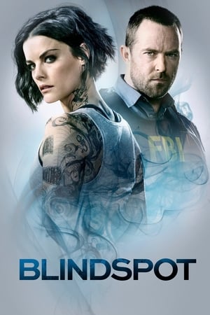 Blindspot, Season 3 poster 2