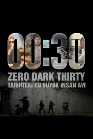 Zero Dark Thirty poster 4