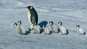 March of the Penguins image 1