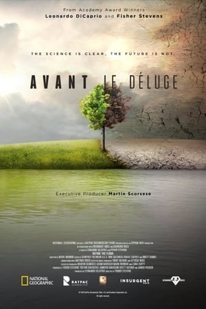Before the Flood poster 2
