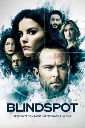 Blindspot, Season 2 poster 0