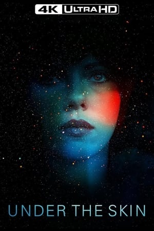 Under the Skin (2014) poster 1