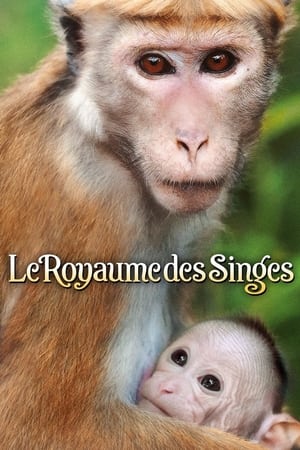 Disneynature: Monkey Kingdom poster 2