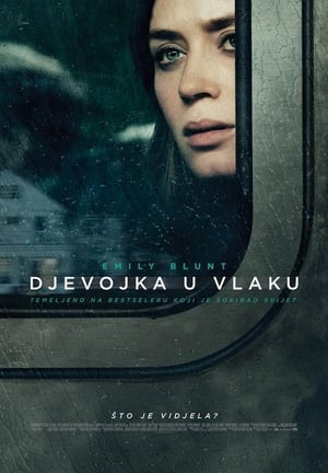 The Girl On the Train (2016) poster 4