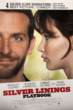 Silver Linings Playbook poster 2