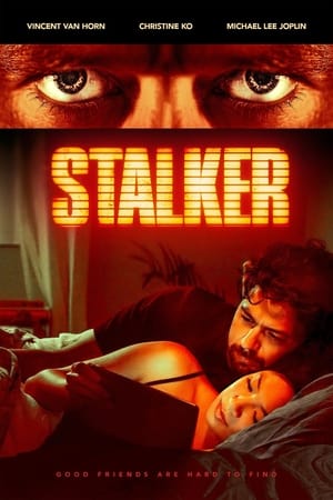 Stalker poster 3