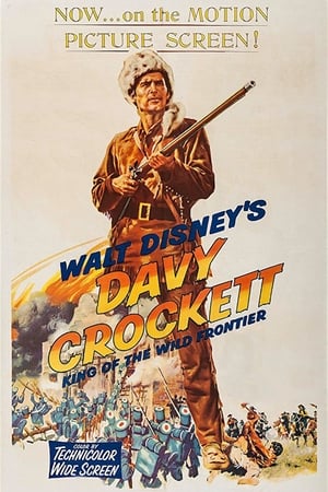 Davy Crockett: King of the Wild Frontier poster 1