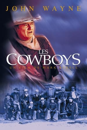 The Cowboys poster 4