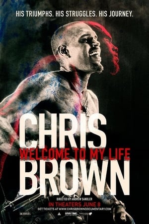 Chris Brown: Welcome to My Life poster 3