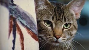 Stephen King's Cat's Eye image 7