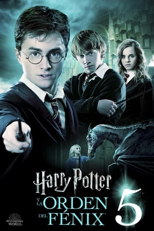 Harry Potter and the Order of the Phoenix poster 4