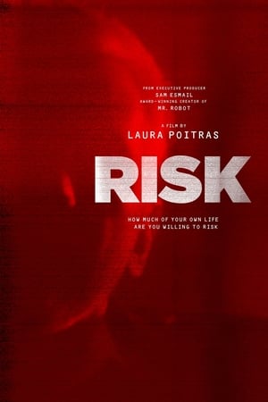 Risk poster 4