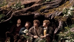 The Lord of the Rings: The Fellowship of the Ring image 4