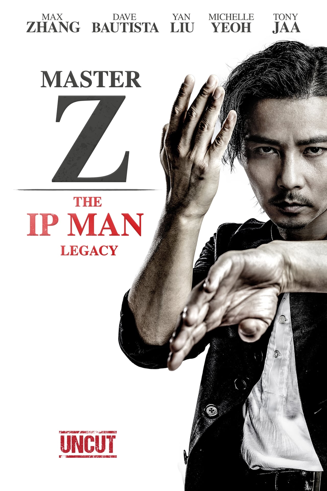 Master Z: Ip Man Legacy wiki, synopsis, reviews, watch and download - Master Z The Ip Man Legacy
