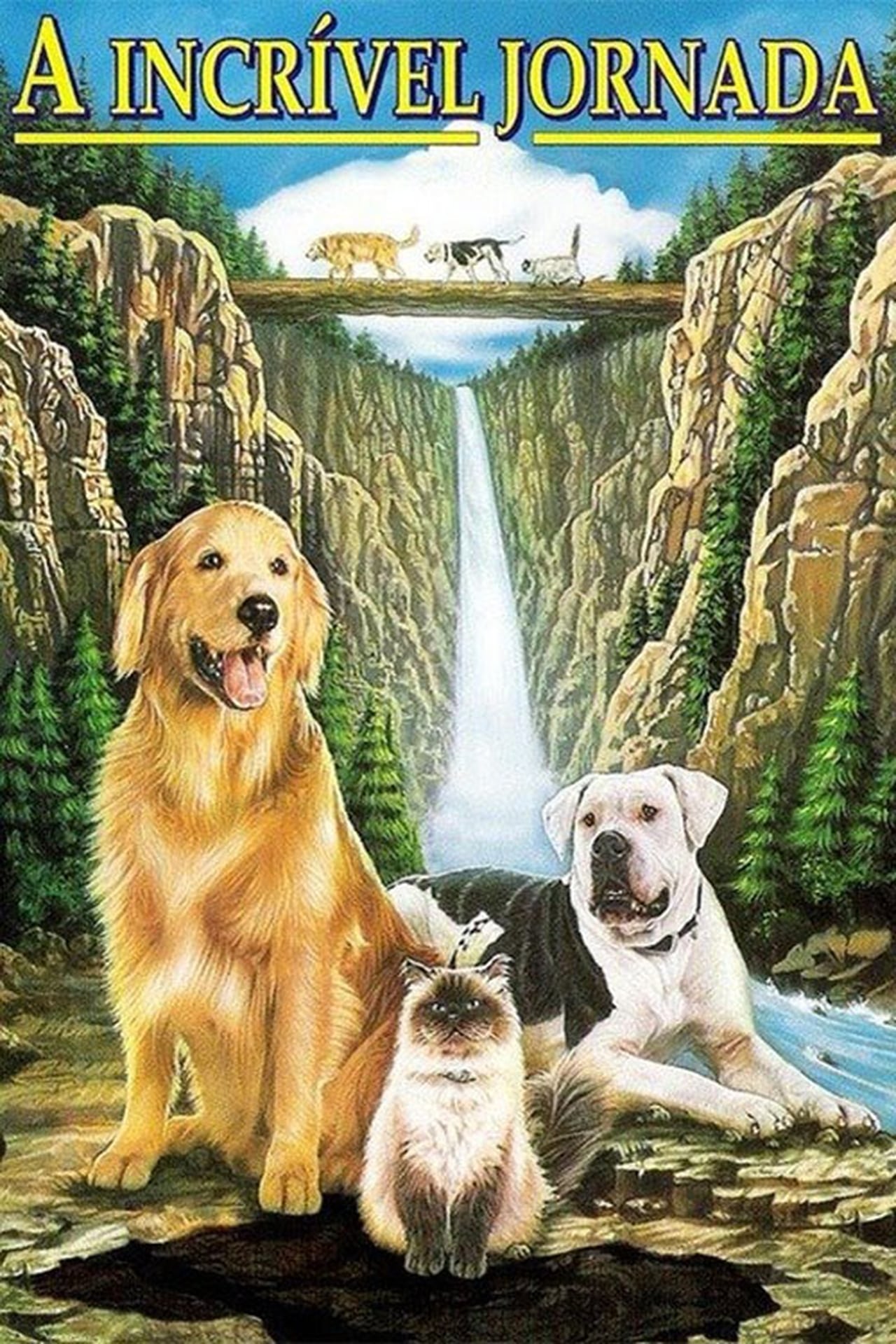 Homeward перевод. Homeward bound: the incredible Journey 1993 poster. Дорога домой невероятное путешествие. Homeward bound.