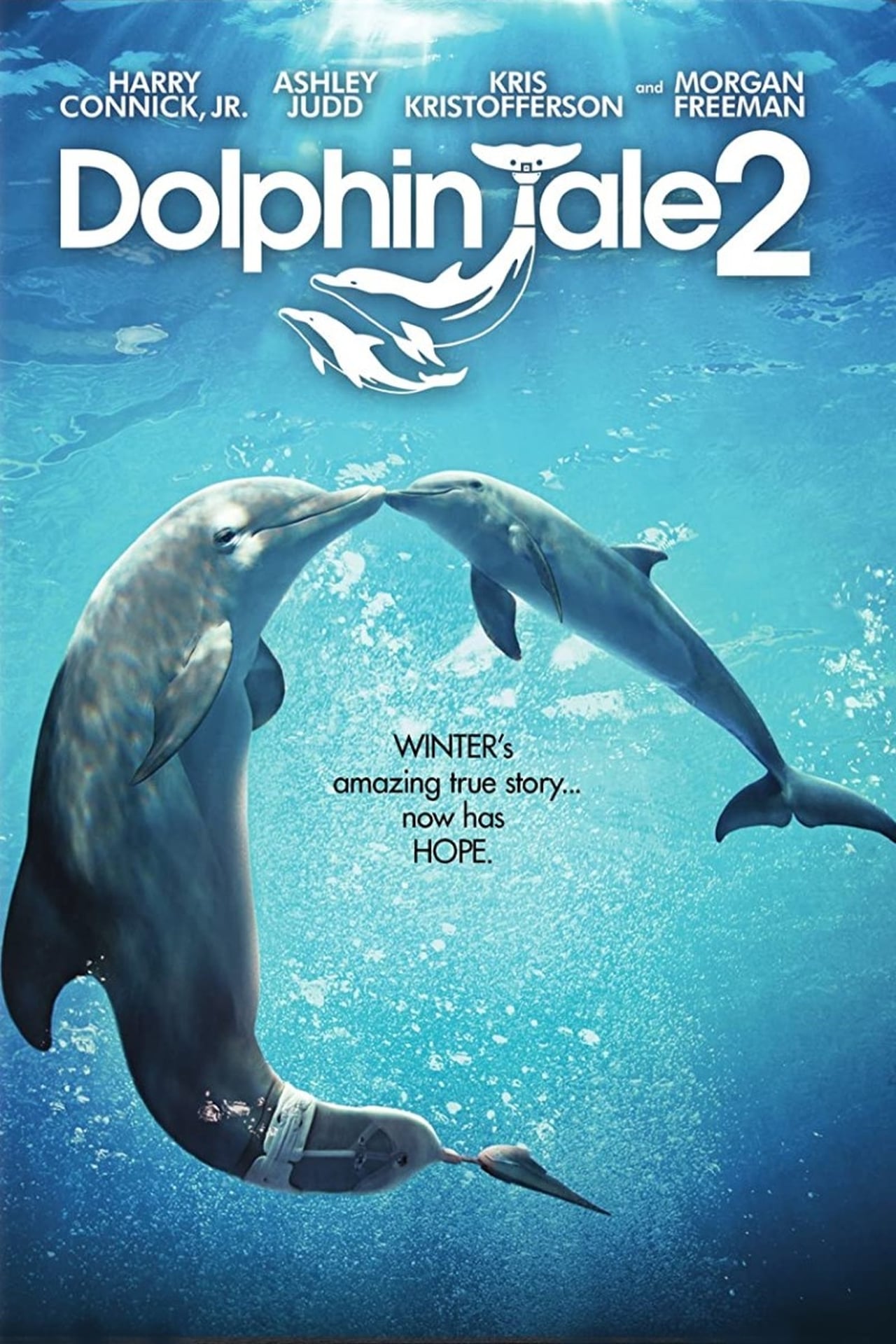 Dolphin Tale wiki, synopsis, reviews, watch and download