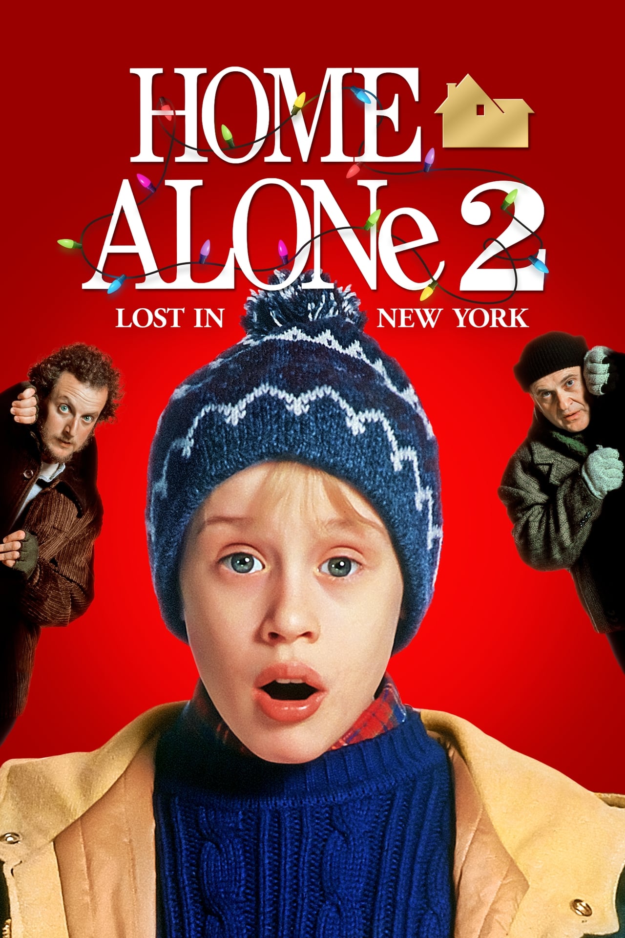 Home Alone 2 Lost In New York Wiki Synopsis Reviews Watch And Download