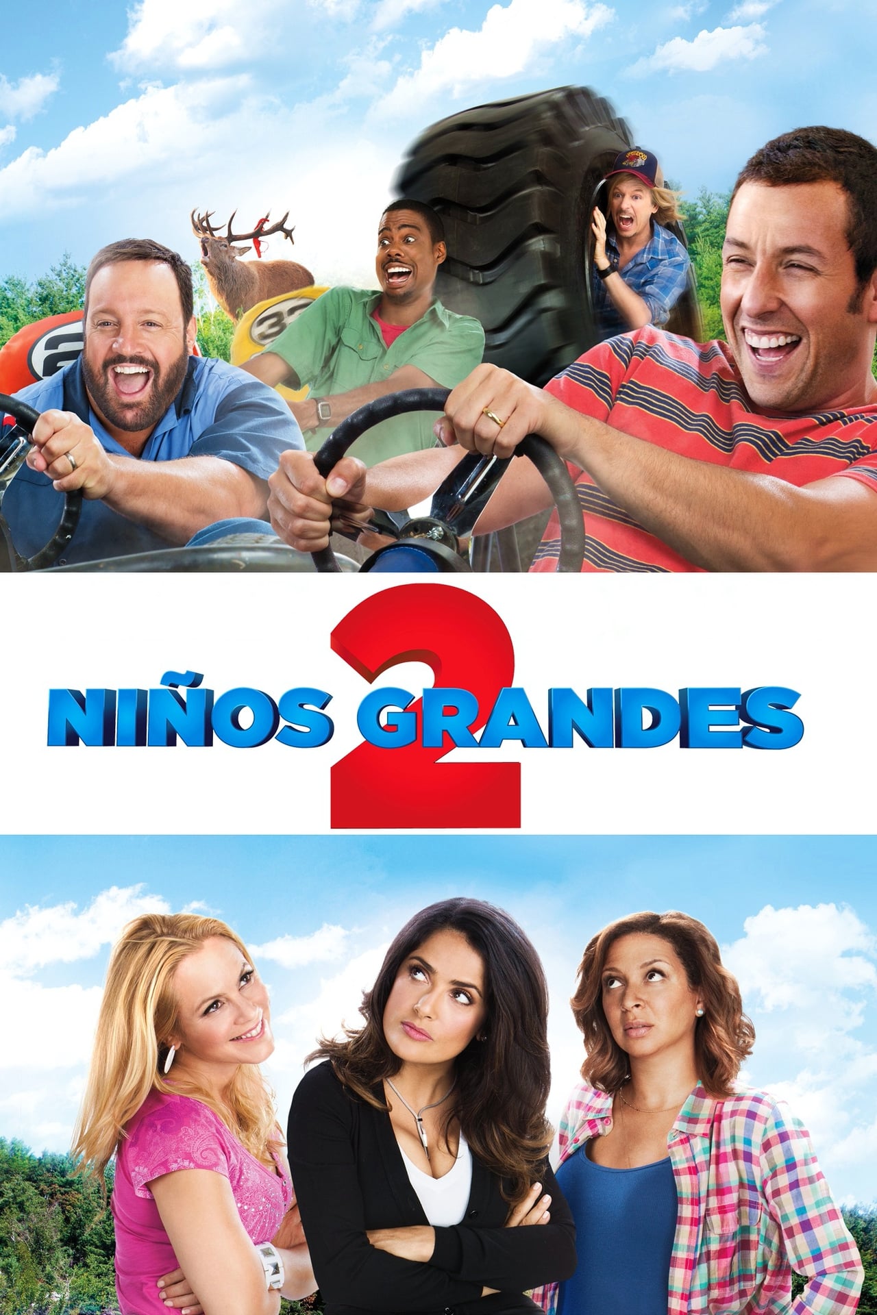 Grown Ups (2010) Wiki, Synopsis, Reviews, Watch And Download