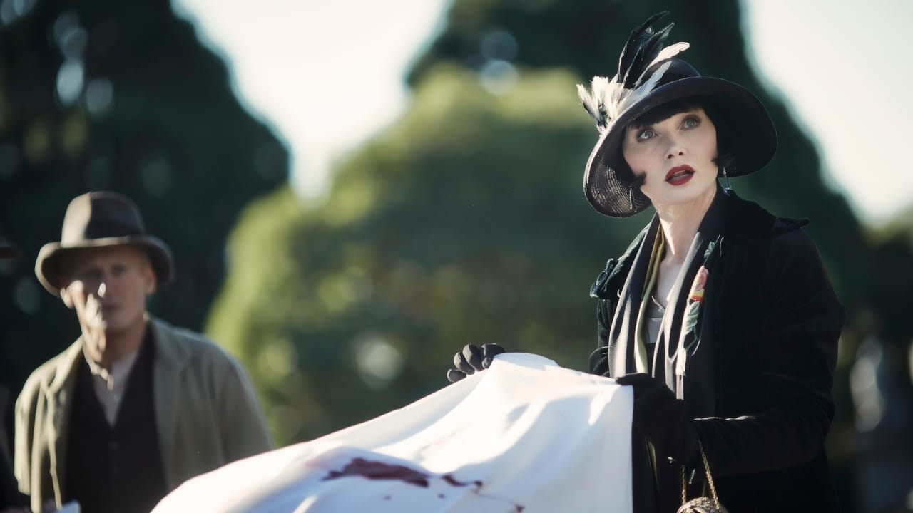 Леди детектив мисс. Леди-детектив Мисс Фрайни Фишер / Miss Fisher's Murder Mysteries (2012 – 2015). Леди-детектив Мисс Фрайни Фишер сериал 2 сезон. Леди детектив Мисс Фрайни Фишер 2 сезон 3 серия. Мисс Фишер 3 сезон 11 серия.