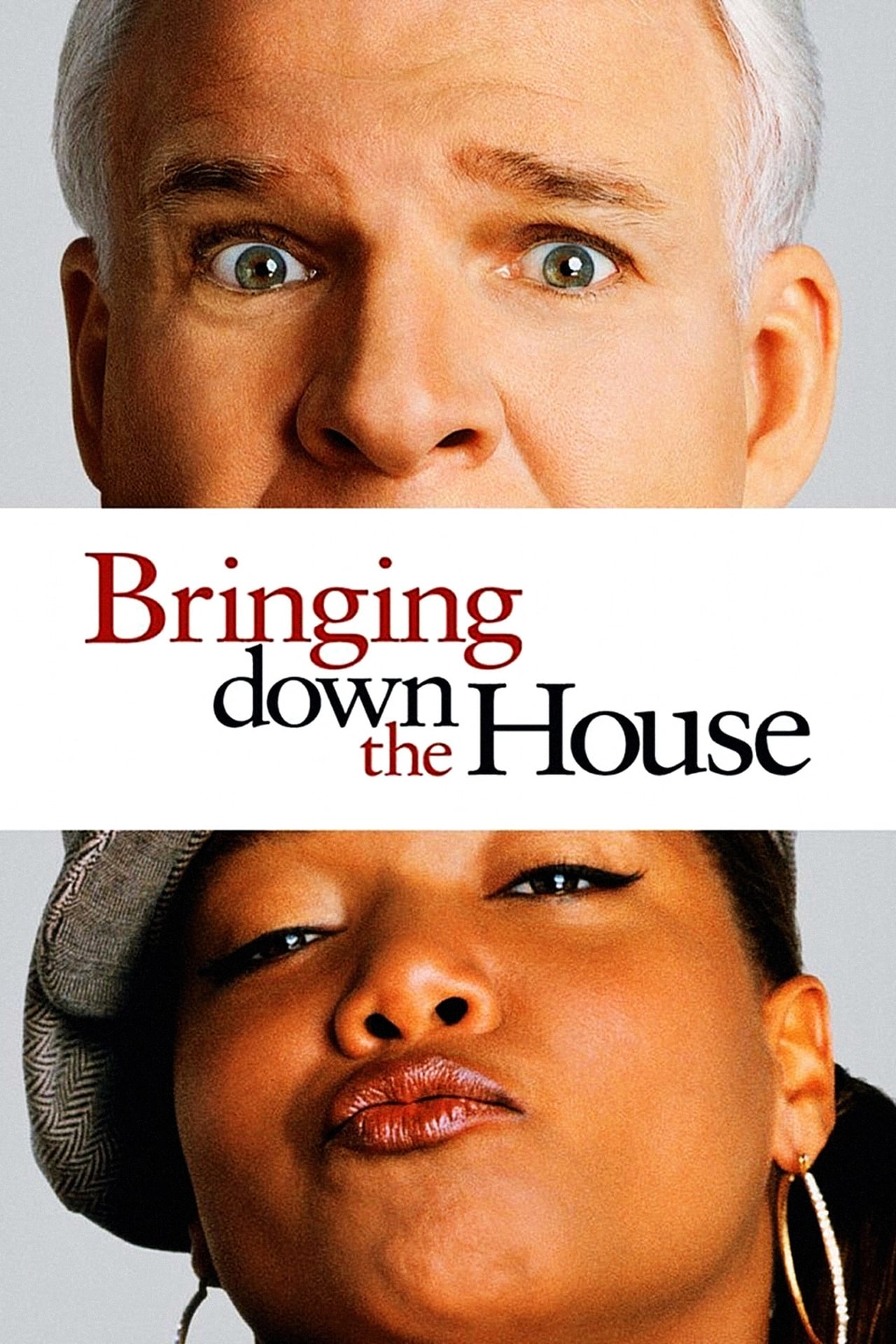 Bringing Down The House Wiki Synopsis Reviews Watch And Download 