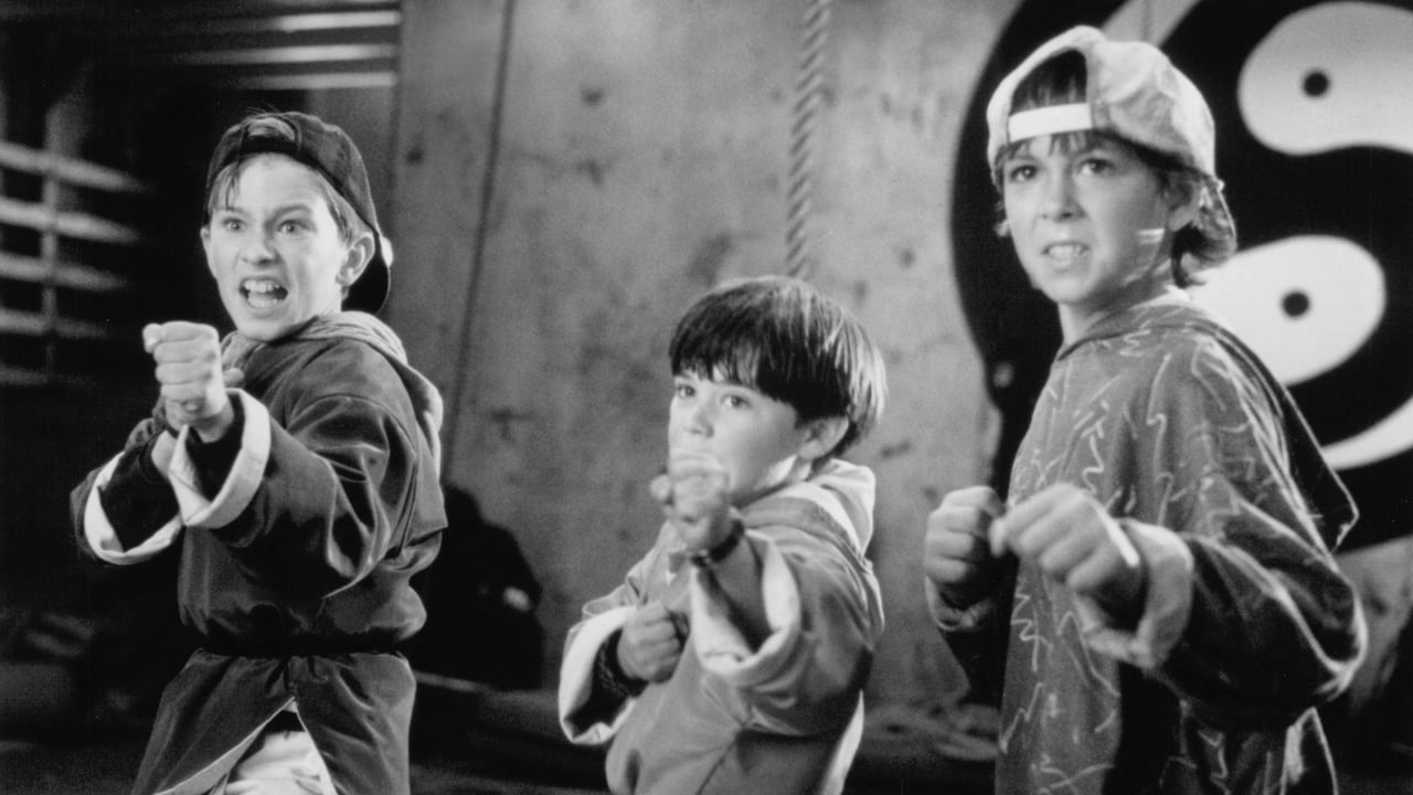 3 Ninjas Movie Synopsis, Summary, Plot & Film Details