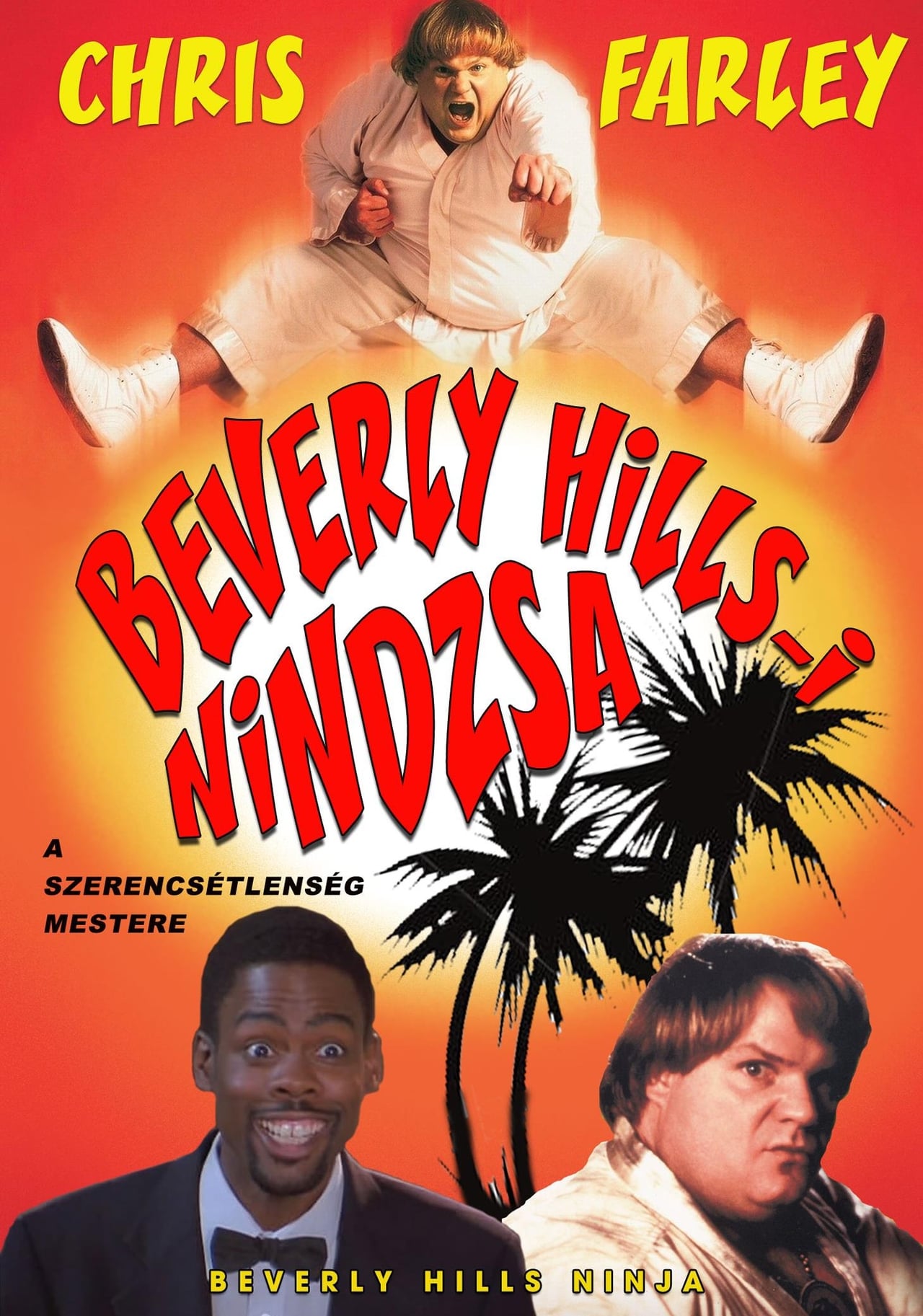 beverly hills ninja