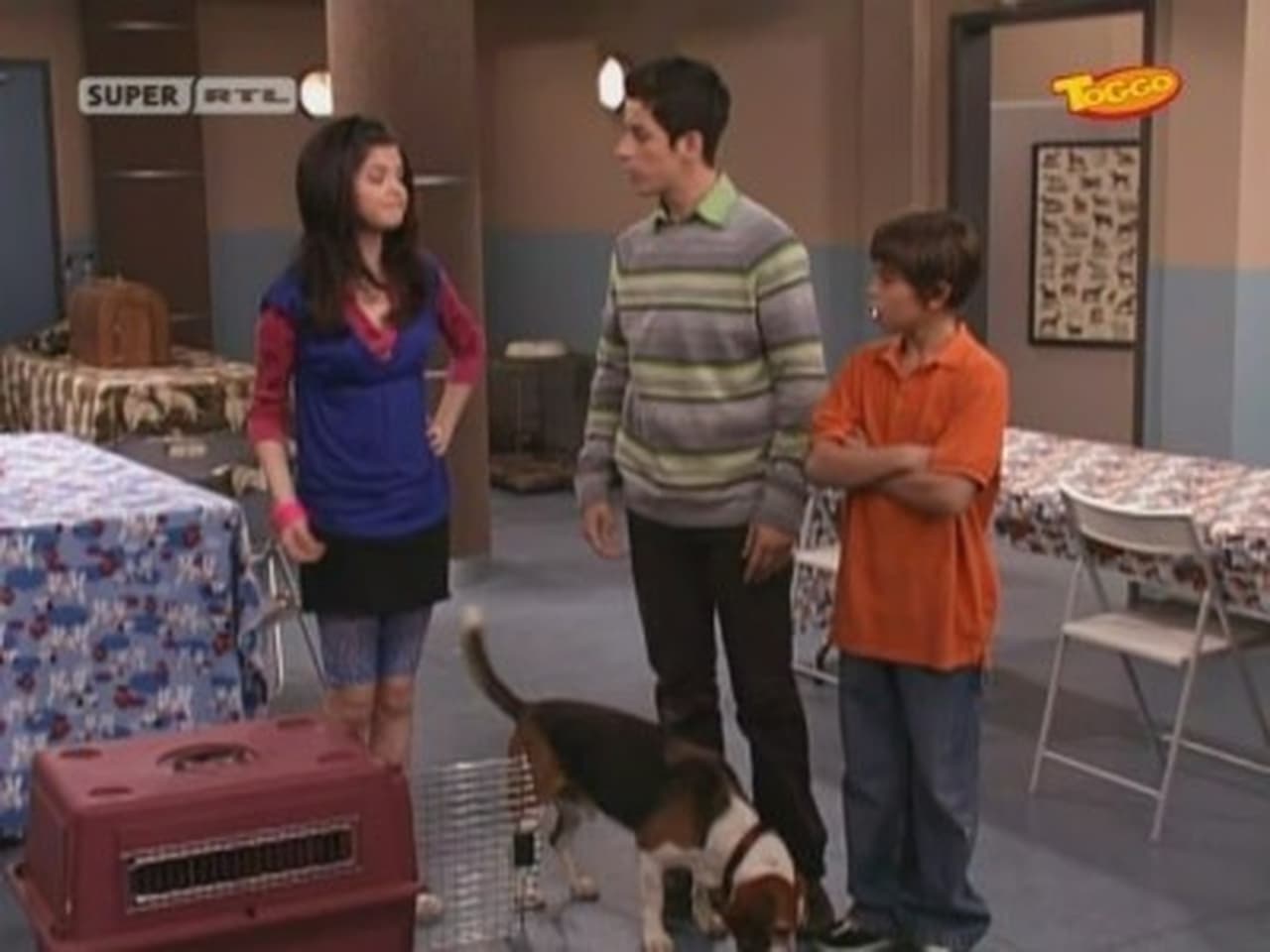 Wizards of waverly place curb your dragon