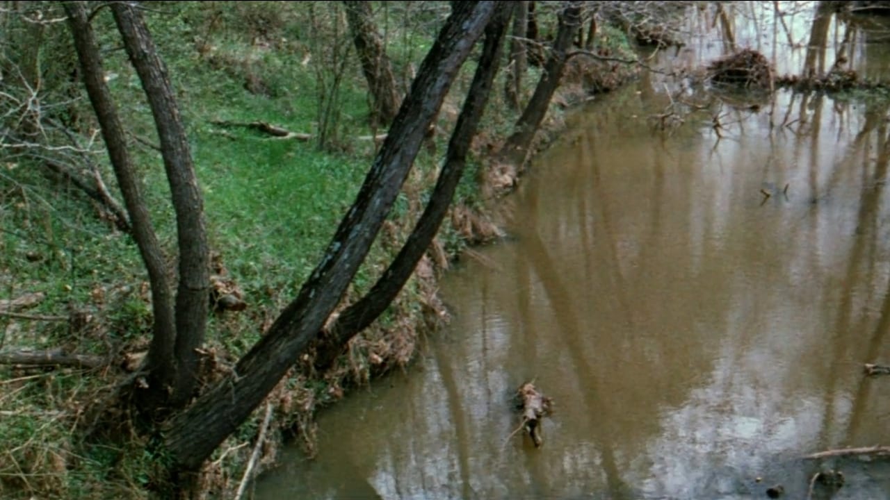 The Legend of Boggy Creek Image No: 5.