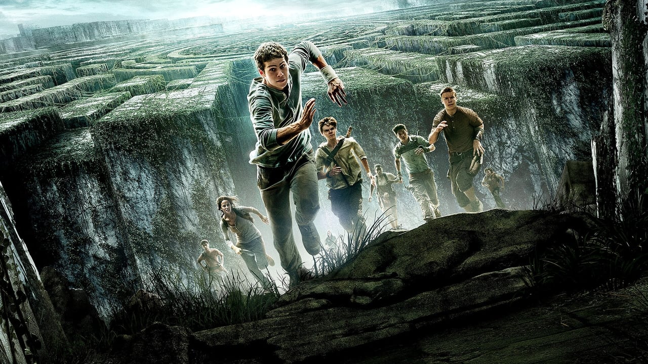 The Maze Runner Movie Synopsis, Summary, Plot & Film Details