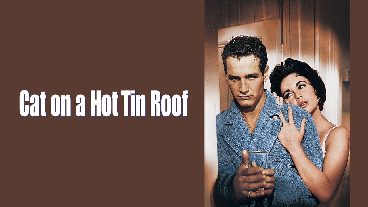 Cat on a hot tin Roof