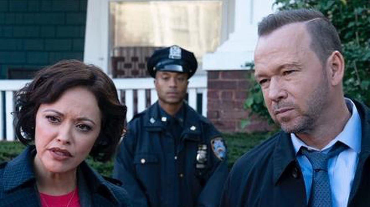 Blue Bloods Cast Nude