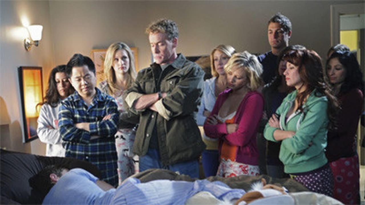 Scrubs Season 9 Release Date Trailers Cast Synopsis And Reviews 