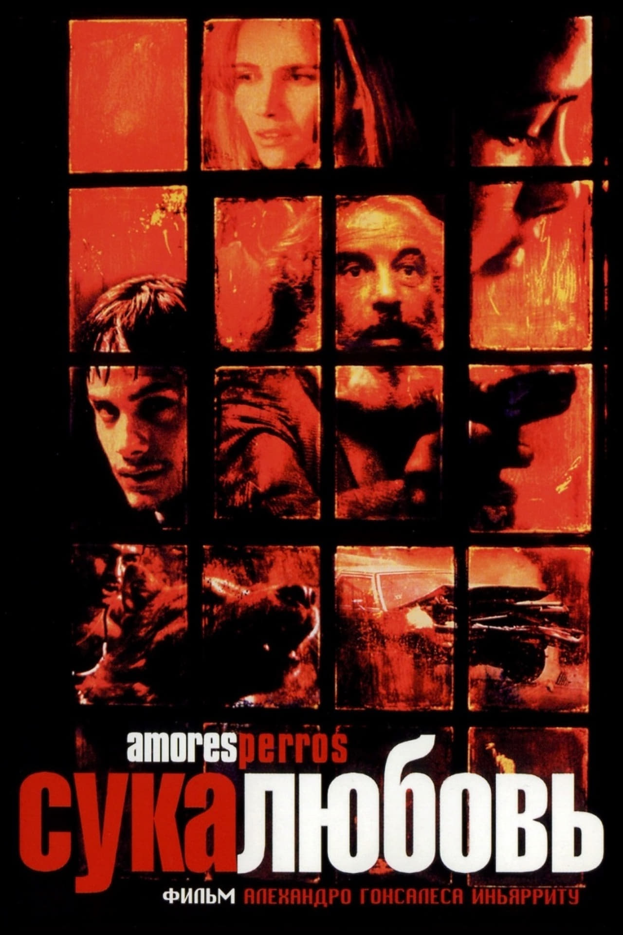 amores perros review