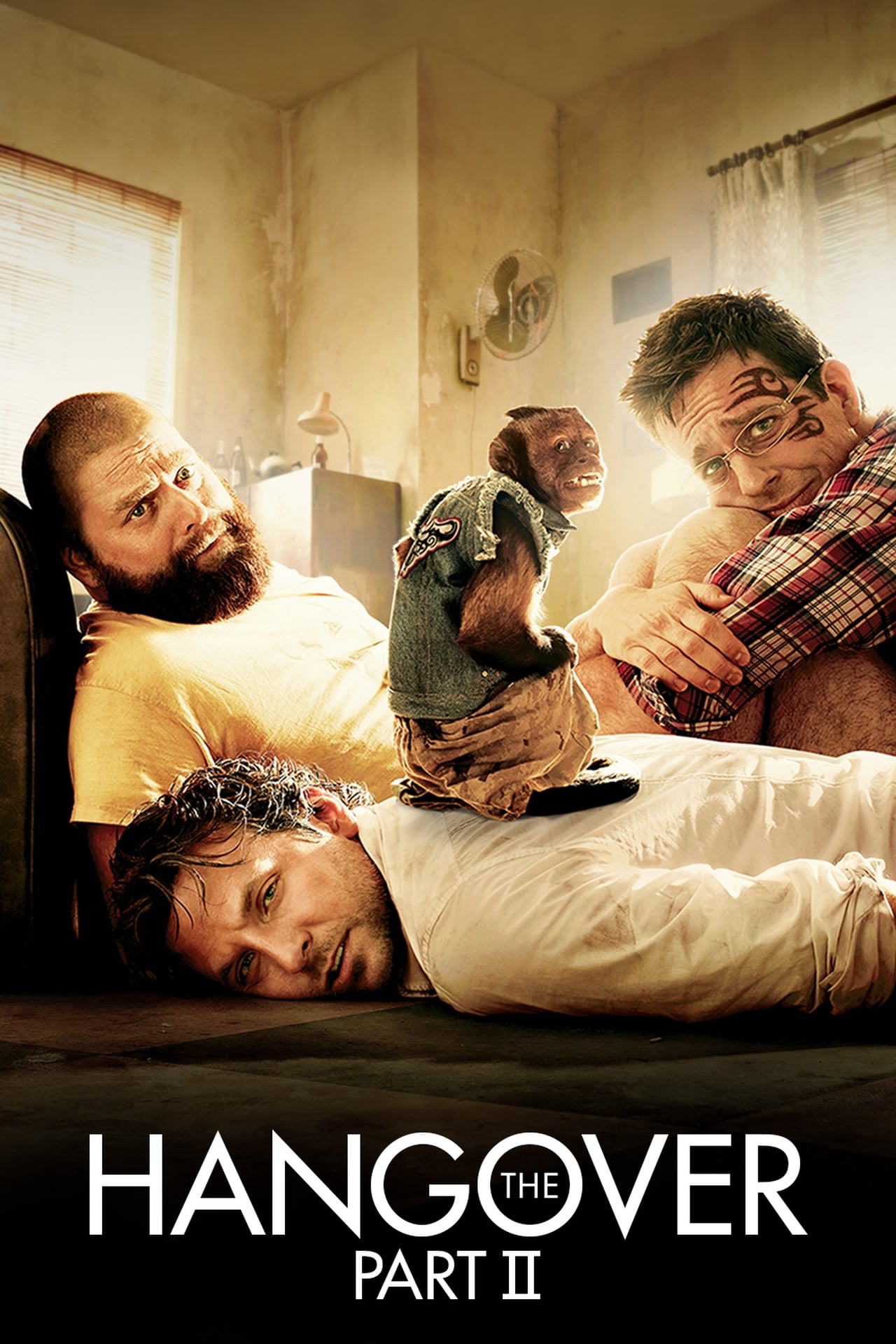 The Hangover Part II wiki, synopsis, reviews, watch and download