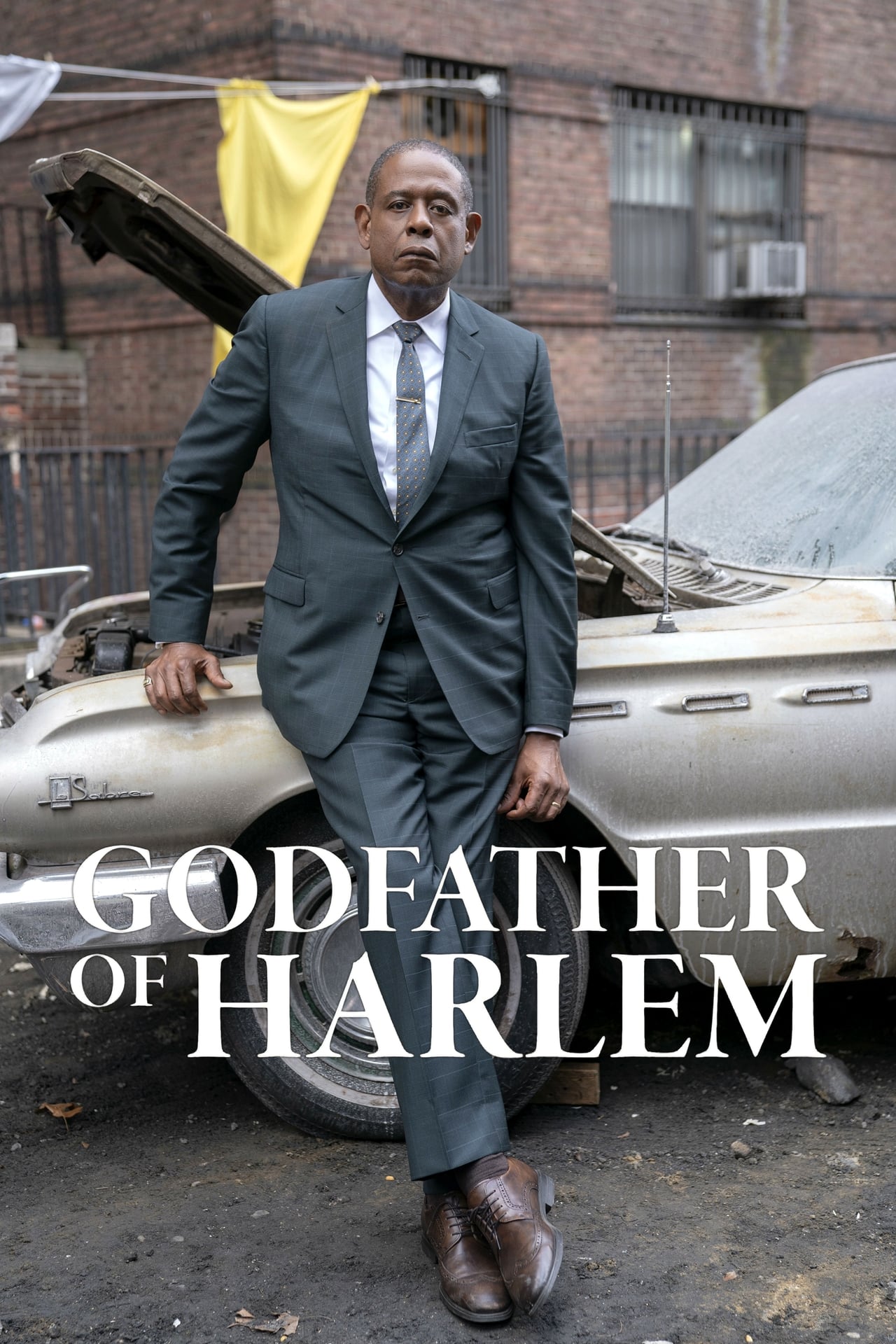 Godfather of Harlem, Season 1 wiki, synopsis, reviews - Movies Rankings!