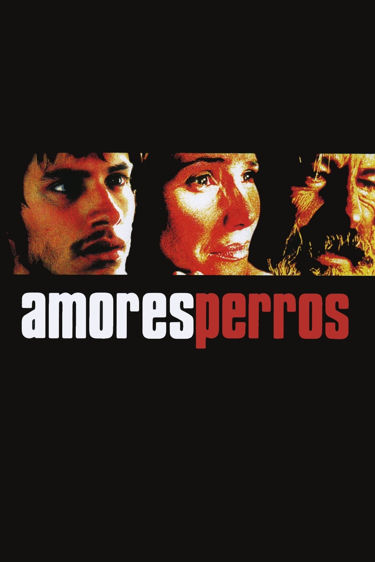 amores perros wiki