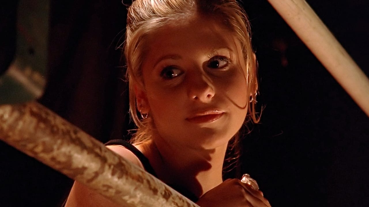 Buffy The Vampire Slayer Season 1 Release Date Trailers Cast