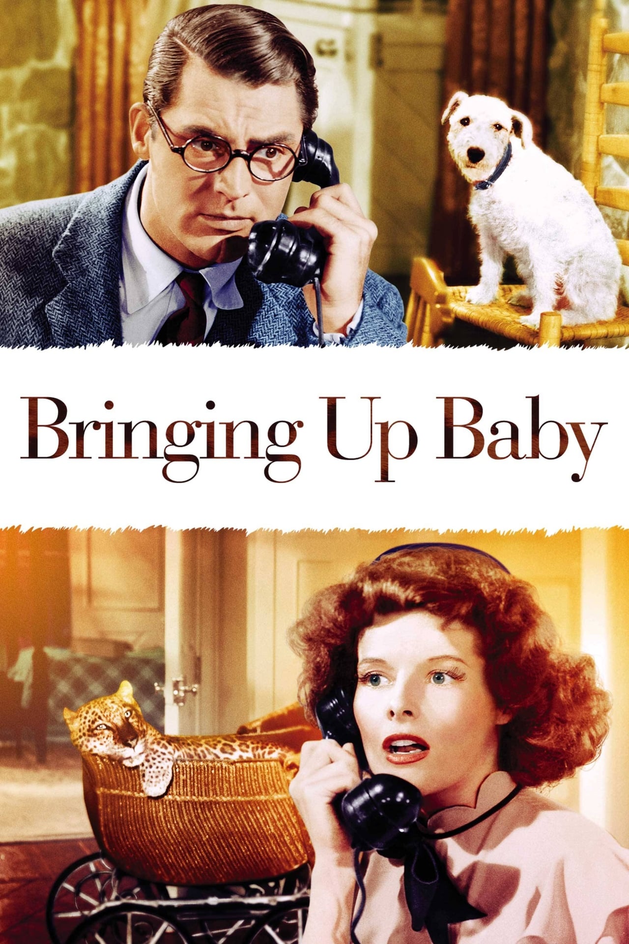 Bringing Up Baby wiki, synopsis, reviews, watch and download