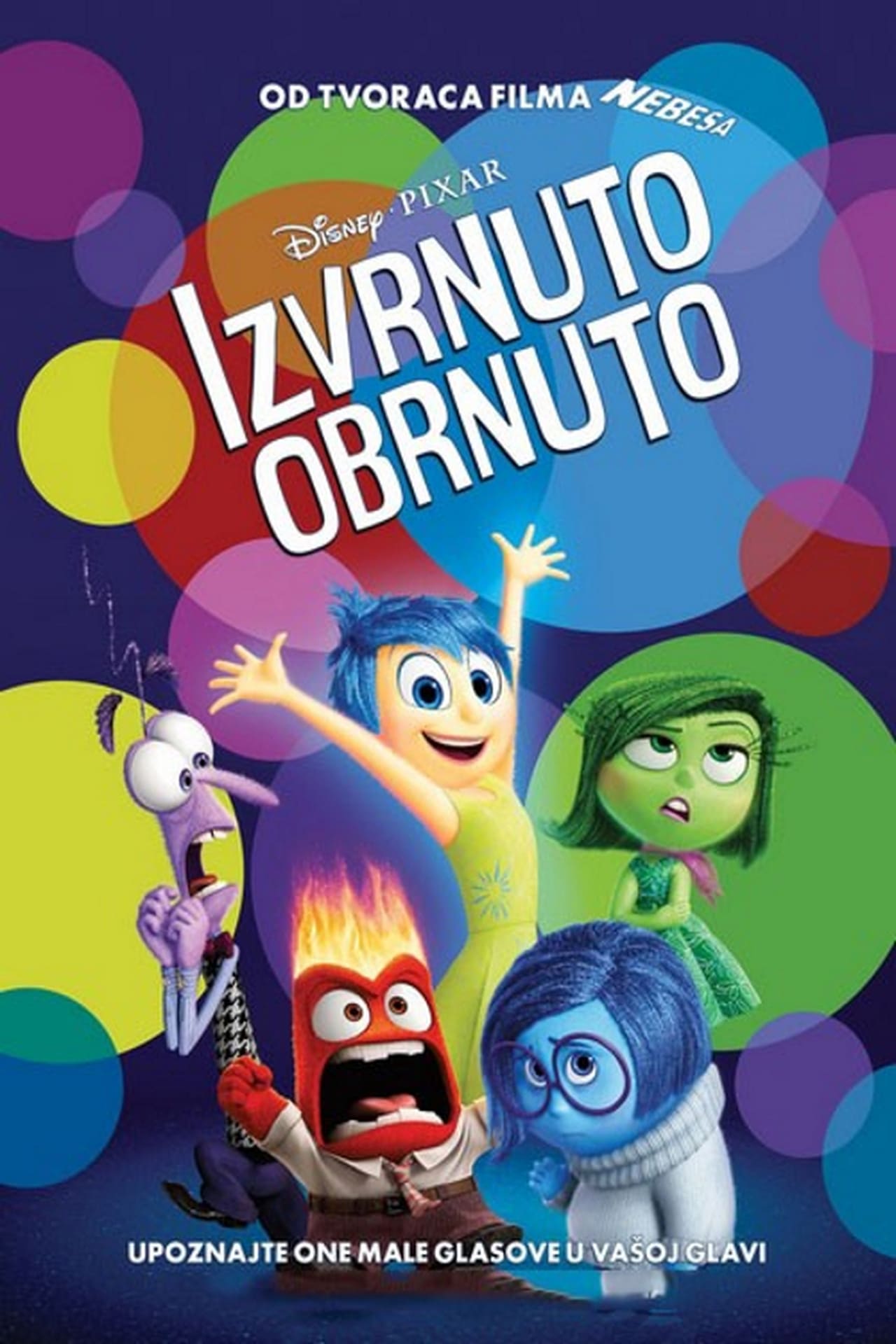 Inside Out (2015) Movie Synopsis, Summary, Plot & Film Details