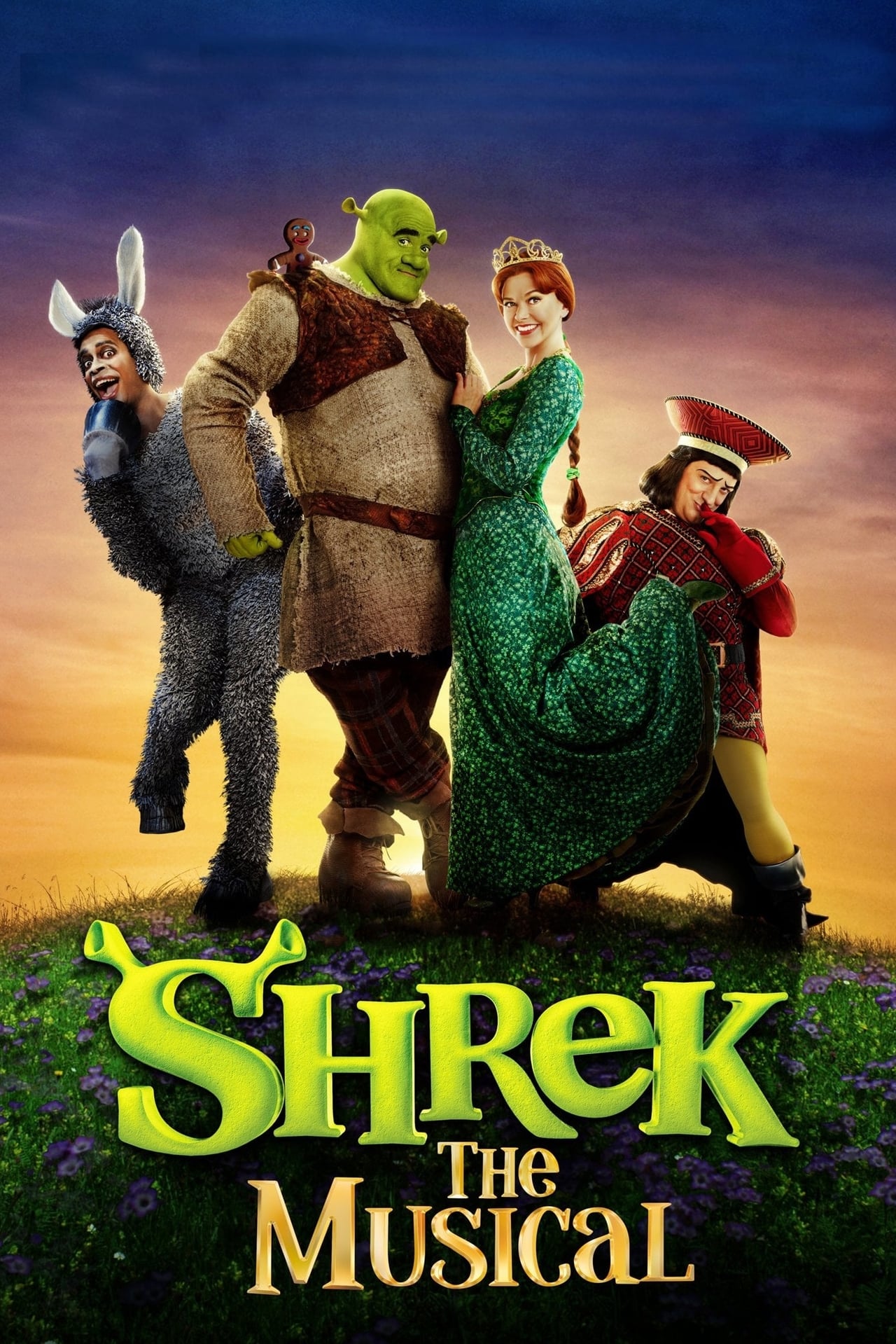 Shrek the Musical Movie Synopsis, Summary, Plot & Film Details