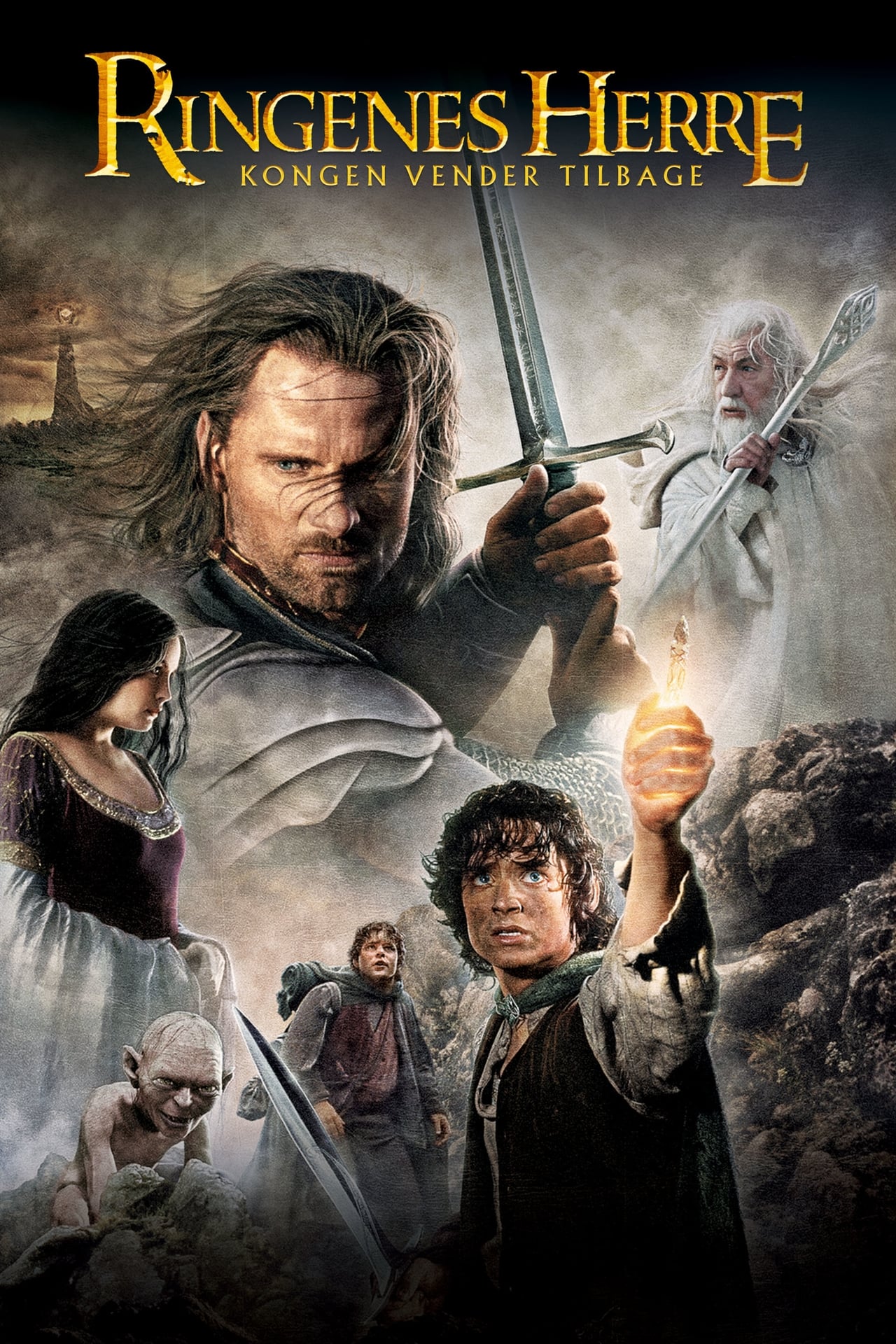 The Lord of the Rings: The Return of the King (Extended Edition) Movie - The Return Of The King Extended Edition Runtime