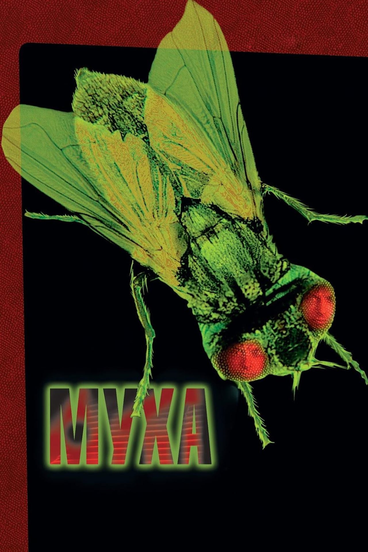 1986 The Fly