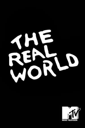 The Real World: New Orleans poster 2