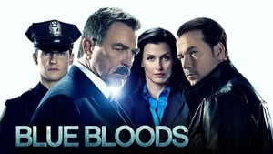 Blue Bloods, Season 1 image 2