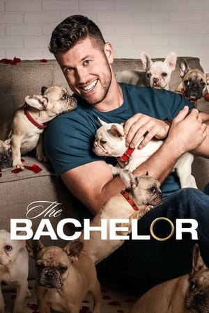 The Bachelor, Season 26 poster 2