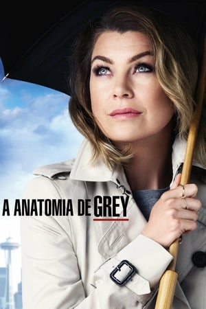 Grey's Anatomy, Season 12 poster 0