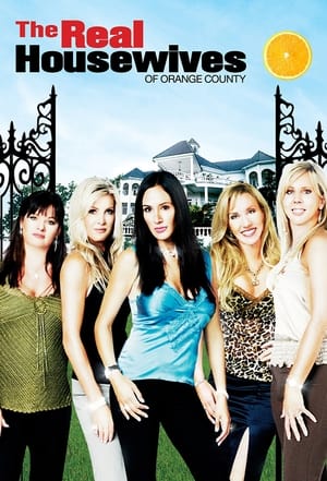 The Real Housewives of Orange County, Season 16 poster 1