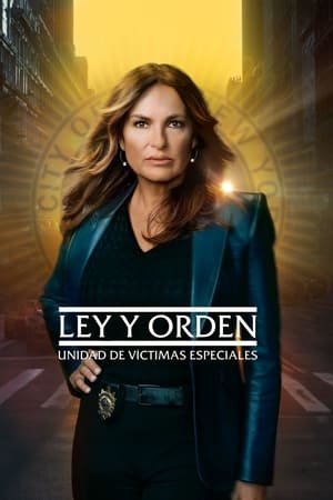 Law & Order: SVU (Special Victims Unit), Season 14 poster 1