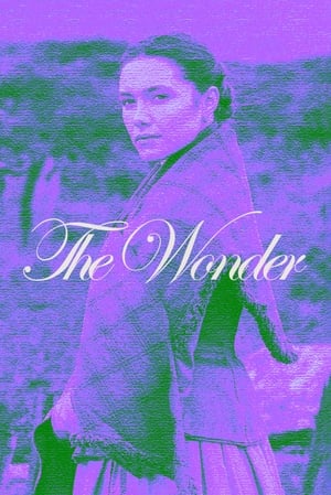 Wonder poster 4