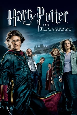 Harry Potter and the Goblet of Fire poster 1